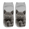 Cat Socks Printing Female