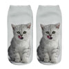Cat Socks Printing Female