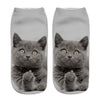 Cat Socks Printing Female