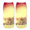 Cat Socks Printing Female