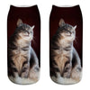 Cat Socks Printing Female