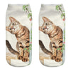 Cat Socks Printing Female