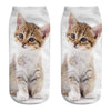 Cat Socks Printing Female