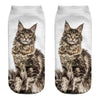 Cat Socks Printing Female