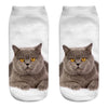 Cat Socks Printing Female