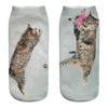 Cat Socks Printing Female