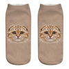 Cat Socks Printing Female