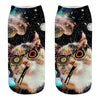 Cat Socks Printing Female