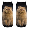 cat Art funny socks