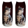 cat Art funny socks